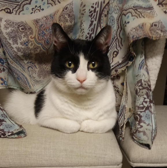 Meet your Posher, Nikki - Picture 2 of 13